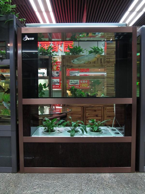 鄭州專業(yè)魚缸清洗維護(hù)服務(wù)等圖片