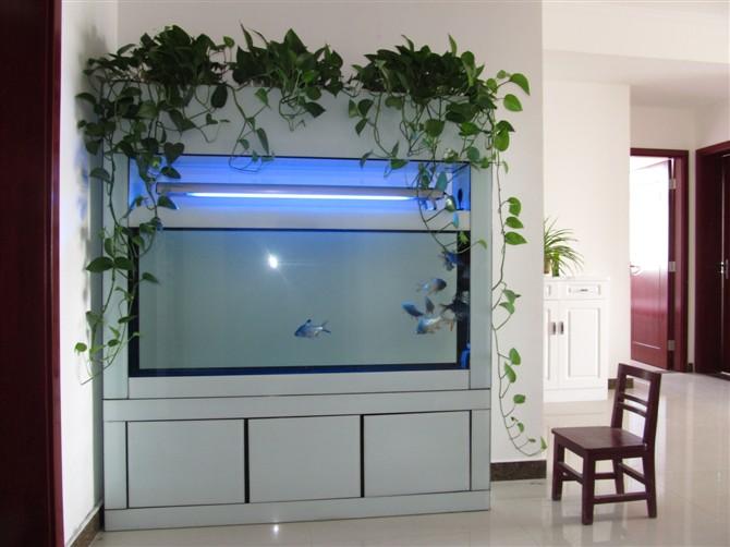 鄭州專業(yè)魚缸清洗服務(wù)過濾器改造圖片