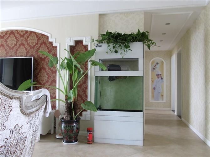 鄭州專業(yè)魚保姆魚缸清洗過濾器改造圖片