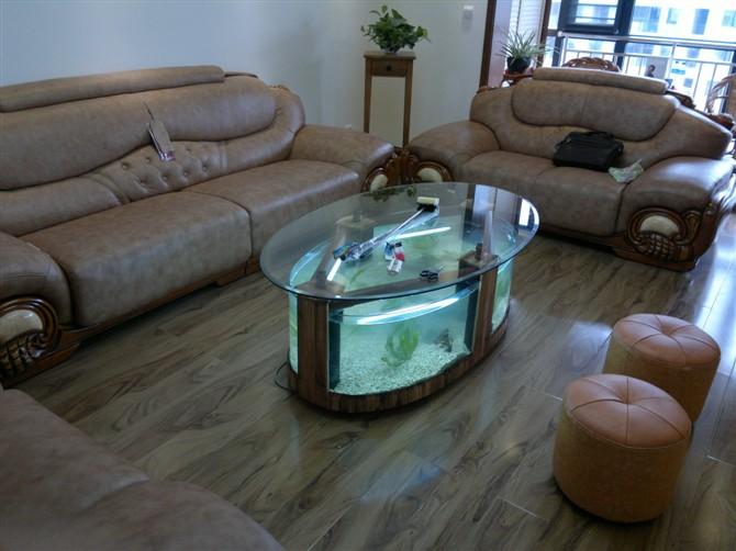 供應(yīng)鄭州專業(yè)水族魚缸維護(hù)