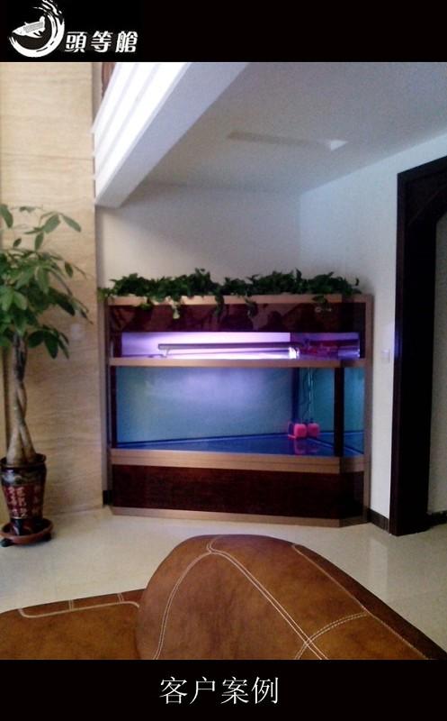 鄭州專業(yè)水族魚(yú)缸清洗圖片