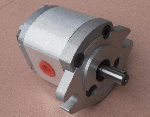 供應(yīng)臺灣新鴻雙聯(lián)泵蘇州總代理