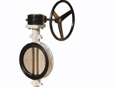 供應(yīng)D71F不銹鋼對夾四氟蝶閥