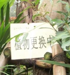 供應(yīng)花草牌