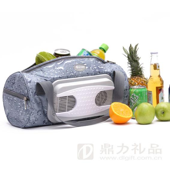 【時尚】供應(yīng)合肥家居車載兩用冷熱軟體冰箱合肥電器禮品批發(fā)
