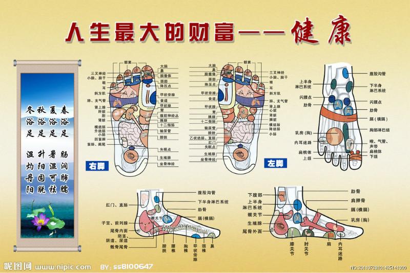 供應(yīng)鄭州哪家足療技師培訓輸出學校*