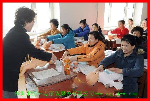 景田鐘點(diǎn)工   包月鐘點(diǎn)  保姆  家教 陪護(hù)