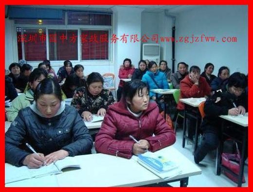 坪山家政公司 深圳家政公司 坪山保姆 深圳保姆