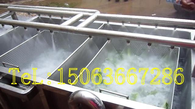 供應洗菜機批發(fā)廠家