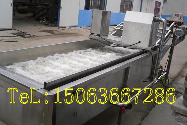 供應(yīng)果蔬清洗線