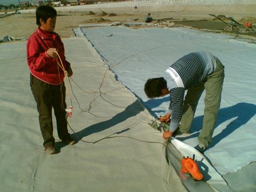 土工膜防滲膜HDPE土工膜圖片