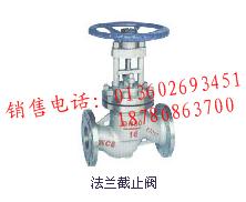 法蘭截止閥圖片