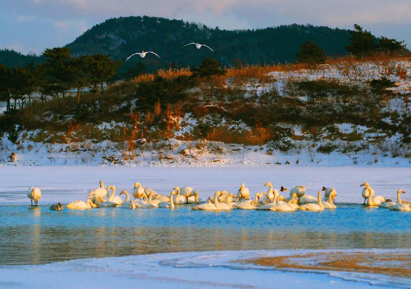 威海度假養(yǎng)老的好房子圖片