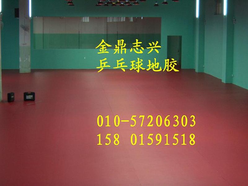 供應(yīng)乒乓球塑膠地板乒乓球pvc地板