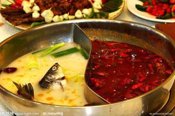 廠家火鍋專用雞精大量批發(fā)代理圖片