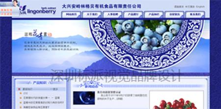 供應(yīng)深圳網(wǎng)絡(luò)公司建網(wǎng)站做網(wǎng)站南山龍崗寶安網(wǎng)站建設(shè)制作