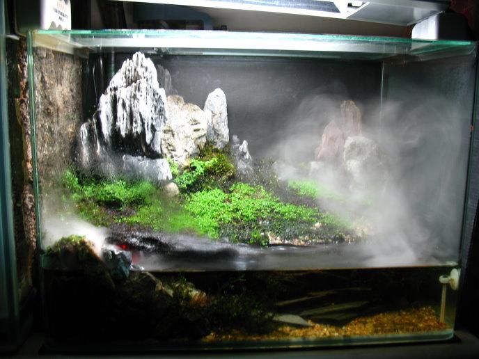 供應(yīng)養(yǎng)魚篇清洗辦公室魚缸*魚缸消毒調(diào)好水質(zhì)