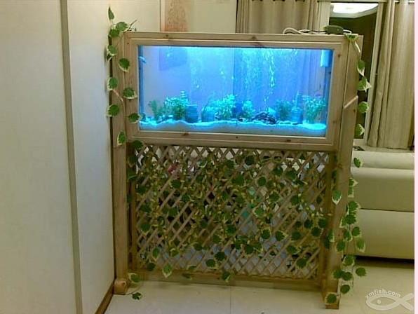 供應(yīng)廣州哪里有清洗魚缸廣州哪里有魚病看治哪里有養(yǎng)魚篇