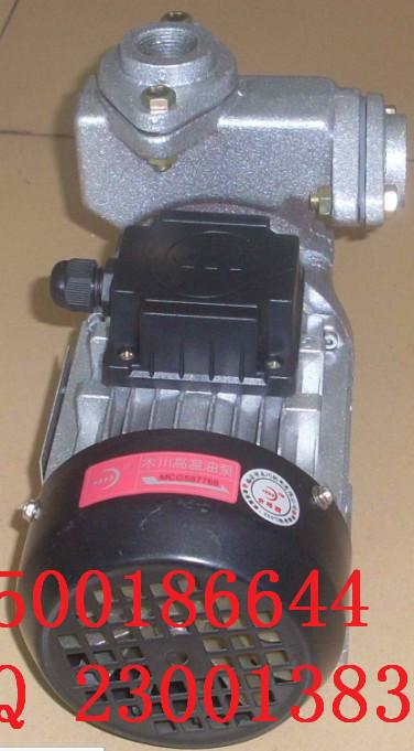 供應(yīng)TS-63高溫油泵功率0.37KW 木川牌熱油泵