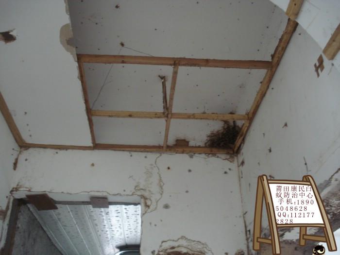 供應(yīng)莆田白蟻防治中心電話多少