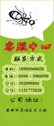 白蟻防治圖片/白蟻防治樣板圖 (3)