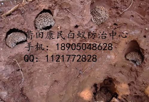 供應(yīng)莆田白蟻防治中心電話多少