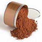 食品級 營養(yǎng)飲品 可可粉