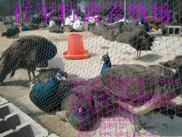 供應(yīng)*價(jià)格