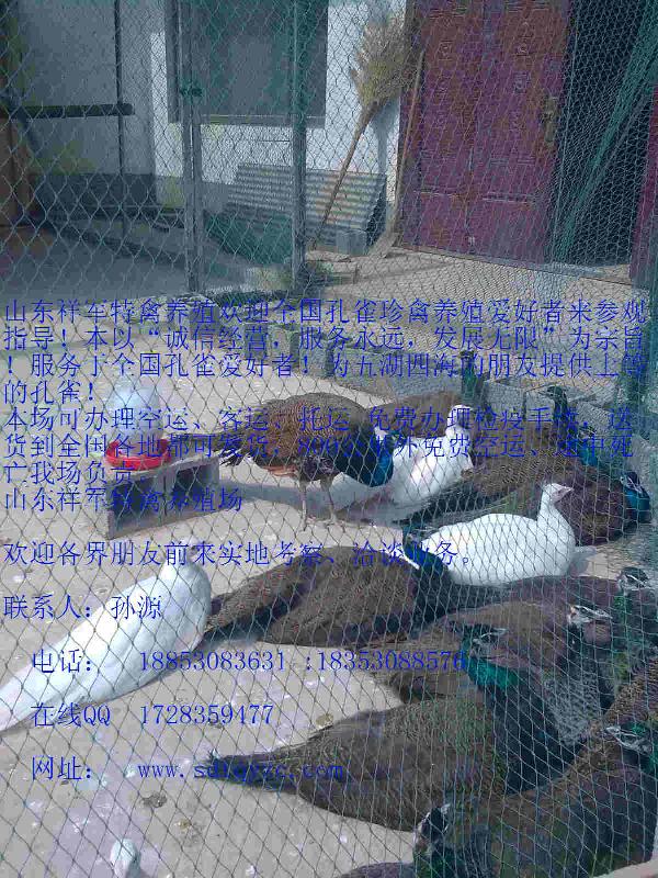 供應(yīng)湖南*養(yǎng)殖場(chǎng)