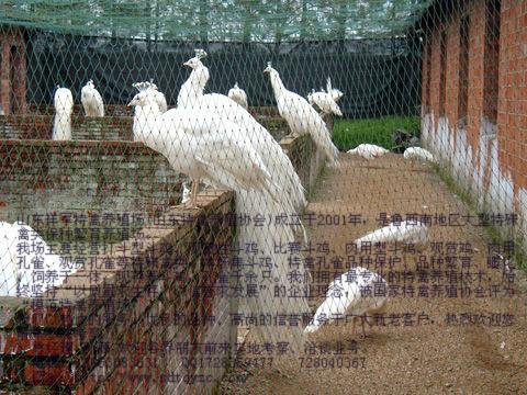 供應(yīng)安徽*價(jià)格