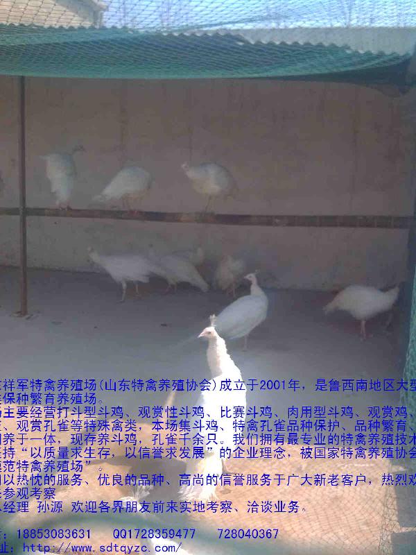 供應(yīng)安徽*價(jià)格