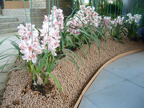 供應(yīng)頁巖陶粒