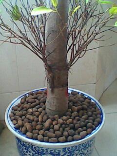 供應阜陽陶粒批發(fā)價格15055434567