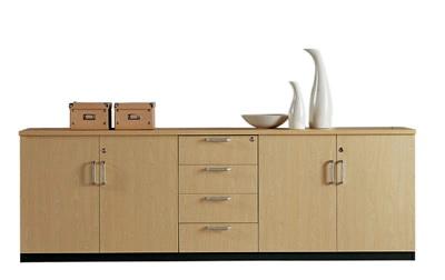 供應(yīng)定做文件矮柜