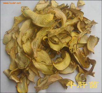 供應(yīng)牛肝菌供應(yīng)商電話(huà)