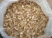 供應(yīng)紅蔥菌廠家