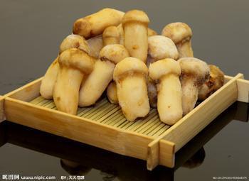 松茸菌供應(yīng)商，松茸菌價格，松茸菌廠家