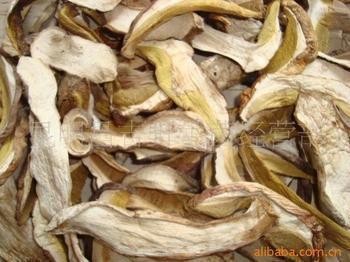 供應廣東美味牛肝菌哪里*