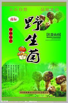 供應(yīng)廣東*的*菌供應(yīng)商