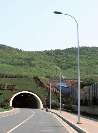 大连路灯灯杆、大连灯杆厂供应路灯灯杆 大连路灯灯杆、大连灯杆厂