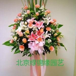 供應(yīng)北京盆栽銷(xiāo)售公司綠植租擺服務(wù)