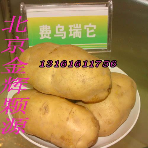 費烏瑞它荷蘭薯圖片