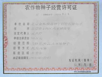 供應(yīng)北京新三號(hào)白菜種子