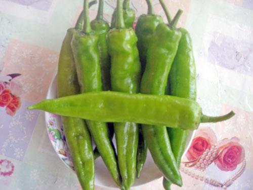 供應(yīng)東莞長安蔬菜配送東莞長安食堂承包