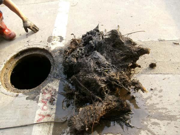 供應(yīng)長沙，寧鄉(xiāng)縣，清洗水池，清洗管道，疏通市政管道