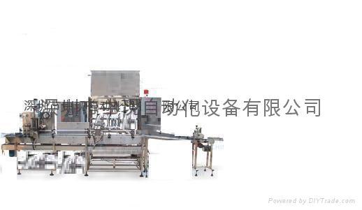 全自動灌裝膠水生產(chǎn)線圖片