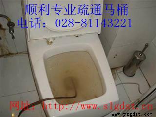 13679050898供應(yīng)成華區(qū)馬桶疏通維修，更換馬桶配件等
