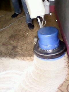 供應(yīng)青島專業(yè)地毯清洗服務(wù)撥打114查詢