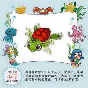 儿童益智玩具加盟代理批发