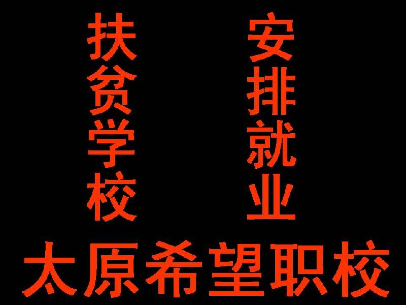 太原市最大的挖掘机装载机塔吊培训基地厂家